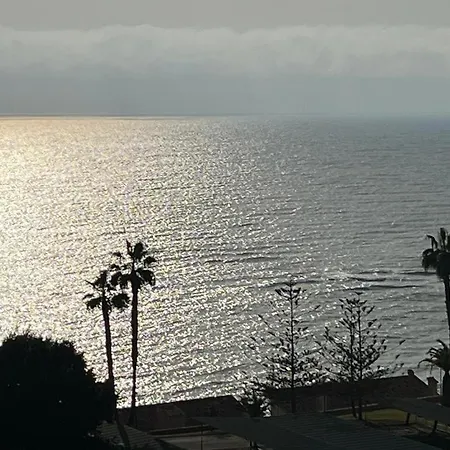 Centro 1411b 캄포아모르